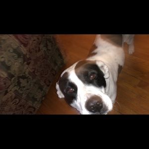 Meet your Posher, Karlie